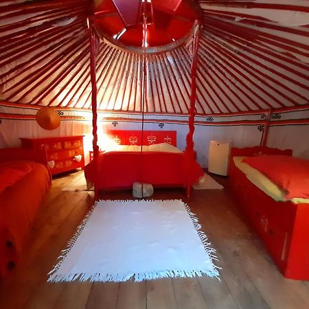 B&B L'Albatros Фаєнс Екстер'єр фото